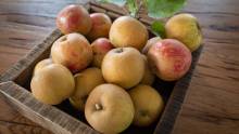 Notre zone d'activité pour ce service Achat de jus de pomme Natti 100% filtré ou trouble en gros pour grossiste à