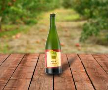 Nos prestations sur le secteur de Reims 51 dans la Marne