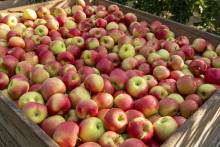 Ils parlent de nous !